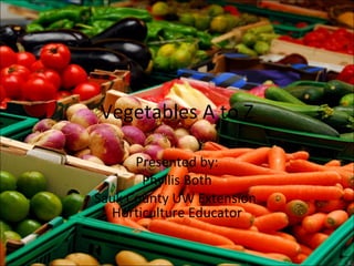 Vegetables A to Z Presented by: Phyllis Both Sauk County UW Extension  Horticulture Educator 