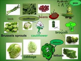 beans
leek
broccoli
Brussels sprouts
cabbage
cauliflower
lettuce
peas
lettuce
cauliflower
 
