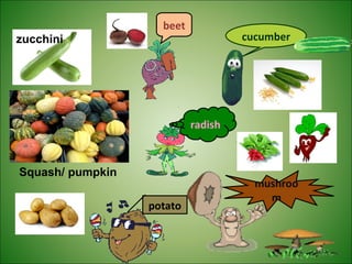 beet
cucumberzucchini
Squash/ pumpkin
mushroo
m
potato
radish
 