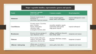 Comprehensive Botanical Classification and Morphology of Vegetable ...