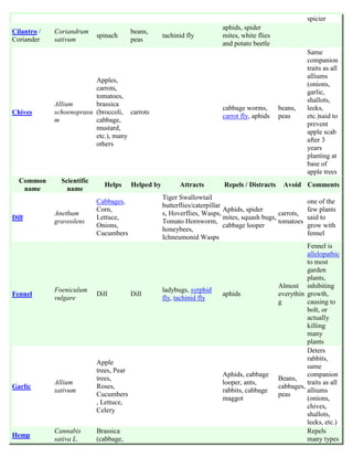 spicier
                                                                            aphids, spider
Cilantro /   Coriandrum                   beans,
                            spinach                   tachinid fly          mites, white flies
Coriander    sativum                      peas
                                                                            and potato beetle
                                                                                                             Same
                                                                                                             companion
                                                                                                             traits as all
                                                                                                             alliums
                          Apples,
                                                                                                             (onions,
                          carrots,
                                                                                                             garlic,
                          tomatoes,
                                                                                                             shallots,
             Allium       brassica
                                                                            cabbage worms,       beans,      leeks,
Chives       schoenoprasu (broccoli, carrots
                                                                            carrot fly, aphids   peas        etc.)said to
             m            cabbage,
                                                                                                             prevent
                          mustard,
                                                                                                             apple scab
                          etc.), many
                                                                                                             after 3
                          others
                                                                                                             years
                                                                                                             planting at
                                                                                                             base of
                                                                                                             apple trees
  Common       Scientific
                               Helps      Helped by         Attracts        Repels / Distracts    Avoid Comments
   name          name
                                                      Tiger Swallowtail
                            Cabbages,                                                                        one of the
                                                      butterflies/caterpillar
                            Corn,                                             Aphids, spider                 few plants
             Anethum                                  s, Hoverflies, Wasps,                       carrots,
Dill                        Lettuce,                                          mites, squash bugs,            said to
             graveolens                               Tomato Hornworm,                            tomatoes
                            Onions,                                           cabbage looper                 grow with
                                                      honeybees,
                            Cucumbers                                                                        fennel
                                                      Ichneumonid Wasps
                                                                                                           Fennel is
                                                                                                           allelopathic
                                                                                                           to most
                                                                                                           garden
                                                                                                           plants,
                                                                                                 Almost inhibiting
             Foeniculum                               ladybugs, syrphid
Fennel                      Dill          Dill                              aphids               everythin growth,
             vulgare                                  fly, tachinid fly
                                                                                                 g         causing to
                                                                                                           bolt, or
                                                                                                           actually
                                                                                                           killing
                                                                                                           many
                                                                                                           plants
                                                                                                           Deters
                                                                                                           rabbits,
                            Apple
                                                                                                           same
                            trees, Pear
                                                                            Aphids, cabbage                companion
                            trees,                                                               Beans,
             Allium                                                         looper, ants,                  traits as all
Garlic                      Roses,                                                               cabbages,
             sativum                                                        rabbits, cabbage               alliums
                            Cucumbers                                                            peas
                                                                            maggot                         (onions,
                            , Lettuce,
                                                                                                           chives,
                            Celery
                                                                                                           shallots,
                                                                                                           leeks, etc.)
             Cannabis       Brassica                                                                       Repels
Hemp
             sativa L.      (cabbage,                                                                      many types
 