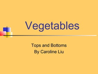 Plants Tops And Bottom Worksheet