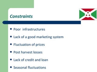 Constraints

   Poor infrastructures
   Lack of a good marketing system
   Fluctuation of prices
   Post harvest losses
   Lack of credit and loan
   Seasonal fluctuations
 