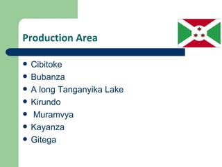 Production Area

   Cibitoke
   Bubanza
   A long Tanganyika Lake
   Kirundo
   Muramvya
   Kayanza
   Gitega
 