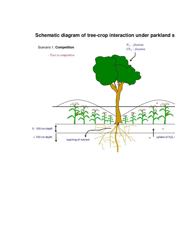 Captopril Food Interactions Lettuce