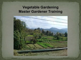 Vegetable Gardening
Master Gardener Training
 