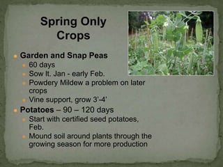 ● Garden and Snap Peas
● 60 days
● Sow lt. Jan - early Feb.
● Powdery Mildew a problem on later
crops
● Vine support, grow 3’-4’
● Potatoes – 90 – 120 days
● Start with certified seed potatoes,
Feb.
● Mound soil around plants through the
growing season for more production
Spring Only
Crops
 