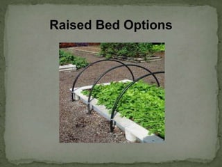 Raised Bed Options
 