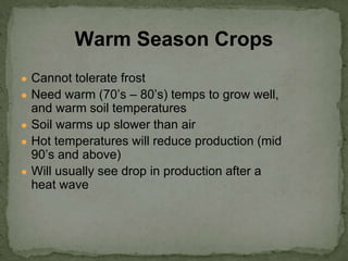 ● Cannot tolerate frost
● Need warm (70’s – 80’s) temps to grow well,
and warm soil temperatures
● Soil warms up slower than air
● Hot temperatures will reduce production (mid
90’s and above)
● Will usually see drop in production after a
heat wave
Warm Season Crops
 