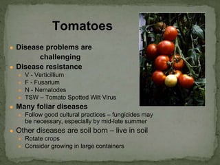● Disease problems are
challenging
● Disease resistance
● V - Verticillium
● F - Fusarium
● N - Nematodes
● TSW – Tomato Spotted Wilt Virus
● Many foliar diseases
● Follow good cultural practices – fungicides may
be necessary, especially by mid-late summer
● Other diseases are soil born – live in soil
● Rotate crops
● Consider growing in large containers
Tomatoes
 