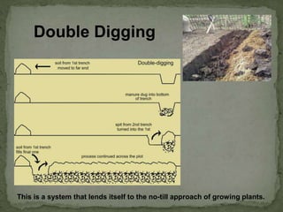 Double Digging
This is a system that lends itself to the no-till approach of growing plants.
 