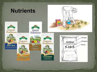 Nutrients
 