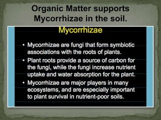 Organic Matter supports
Mycorrhizae in the soil.
 