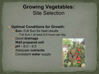 ● Optimal Conditions for Growth:
● Sun: Full Sun for best results
● Full Sun = at least 6-8 hours per day
● Good drainage
● Well prepared soil
● pH ~ 6.0 – 6.5
● Adequate nutrients
● Consistent water supply
Growing Vegetables:
Site Selection
 