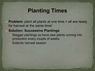 ● Problem: plant all plants at one time = all are ready
for harvest at the same time!
● Solution: Successive Plantings
● Stagger plantings so have new plants coming into
production every couple of weeks
● Extends harvest season
Planting Times
 
