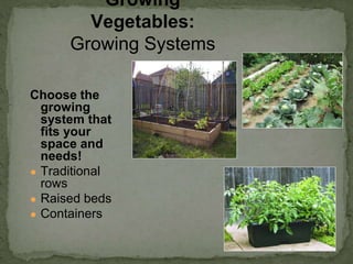 Choose the
growing
system that
fits your
space and
needs!
● Traditional
rows
● Raised beds
● Containers
Growing
Vegetables:
Growing Systems
 