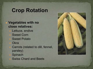 ● Vegetables with no
close relatives:
● Lettuce, endive
● Sweet Corn
● Sweet Potato
● Okra
● Carrots (related to dill, fennel,
parsley)
● Spinach
● Swiss Chard and Beets
Crop Rotation
 