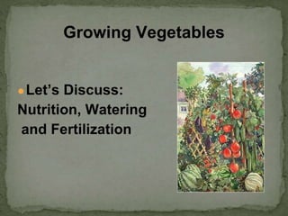 ●Let’s Discuss:
Nutrition, Watering
and Fertilization
Growing Vegetables
 