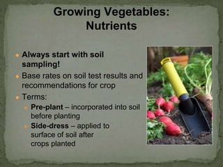 ● Always start with soil
sampling!
● Base rates on soil test results and
recommendations for crop
● Terms:
● Pre-plant – incorporated into soil
before planting
● Side-dress – applied to
surface of soil after
crops planted
Growing Vegetables:
Nutrients
 
