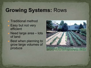 ● Traditional method
● Easy but not very
efficient
● Need large area – lots
of land
● Best when planning to
grow large volumes of
produce
Growing Systems: Rows
 