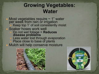 ● Most vegetables require ~ 1” water
per week from rain or irrigation
● Keep top 1’ of soil consistently moist
● Soaker hoses work well
● Do not wet foliage = Reduces
disease problems
● Less water lost through evaporation
● Place close to base of plants
● Mulch will help conserve moisture
Growing Vegetables:
Water
 
