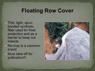 ● Thin, light, spun-
bonded synthetic
fiber used for frost
protection and as a
barrier to keep out
insects
● Re-may is a common
brand
● Must take off for
pollination!!!
Floating Row Cover
 
