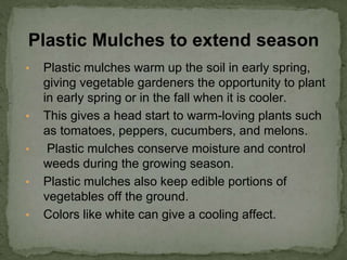 • Plastic mulches warm up the soil in early spring,
giving vegetable gardeners the opportunity to plant
in early spring or in the fall when it is cooler.
• This gives a head start to warm-loving plants such
as tomatoes, peppers, cucumbers, and melons.
• Plastic mulches conserve moisture and control
weeds during the growing season.
• Plastic mulches also keep edible portions of
vegetables off the ground.
• Colors like white can give a cooling affect.
Plastic Mulches to extend season
 