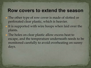 ● The other type of row cover is made of slotted or
perforated clear plastic, which is heavier.
● It is supported with wire hoops when laid over the
plants.
● The holes on clear plastic allow excess heat to
escape, and the temperature underneath needs to be
monitored carefully to avoid overheating on sunny
days.
Row covers to extend the season
 