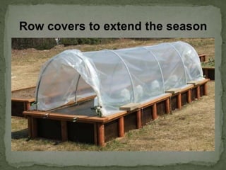 Row covers to extend the season
 