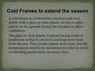 ● A cold frame is a bottomless structure put over
plants with a glass or clear plastic on top or sides,
and it can be opened during the daytime to allow
ventilation.
● The glass or clear plastic is placed facing south or
southwest so that it can let in and trap more heat
from the sun. They protect plants from frost, but the
temperatures need to be monitored in order to avoid
overheating particularly on sunny days.
Cold Frames to extend the season
 