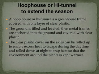 ● A hoop house or hi-tunnel is a greenhouse frame
covered with one layer of clear plastic.
● The ground is tilled and leveled, then metal frames
are anchored into the ground and covered with clear
plastic.
● The clear plastic cover on the sides can be rolled up
to enable excess heat to escape during the daytime
and rolled down at night to trap heat so that the
environment around the plants is kept warmer.
Hoophouse or Hi-tunnel
to extend the season
 