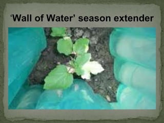 ‘Wall of Water’ season extender
 