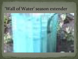 ‘Wall of Water’ season extender
 