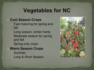 ● Cool Season Crops
● Fast maturing for spring and
fall
● Long season, winter hardy
● Moderate season for spring
and fall
● Spring only crops
● Warm Season Crops
● Summer
● Long & Short Season
Vegetables for NC
 