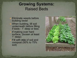 ● Eliminate weeds before
building beds!
● When building, till soil
underneath before filling
if beds - 1’ deep or less
● If making over hard
surface, (loosen at least
1’ deep)
● Fill with mix of soil and
compost (50% to 75%
soil)
Growing Systems:
Raised Beds
 