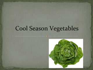 Cool Season Vegetables
 
