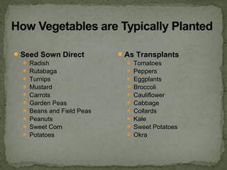 Seed Sown Direct
 Radish
 Rutabaga
 Turnips
 Mustard
 Carrots
 Garden Peas
 Beans and Field Peas
 Peanuts
 Sweet Corn
 Potatoes
As Transplants
 Tomatoes
 Peppers
 Eggplants
 Broccoli
 Cauliflower
 Cabbage
 Collards
 Kale
 Sweet Potatoes
 Okra
 