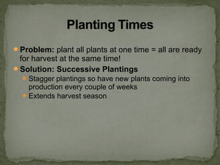 Problem: plant all plants at one time = all are ready
for harvest at the same time!
Solution: Successive Plantings
Stagger plantings so have new plants coming into
production every couple of weeks
Extends harvest season
 