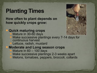 How often to plant depends on
how quickly crops grow:
Quick maturing crops
Mature in 30-60 days
Make successive plantings every 7-14 days for
continuous harvest
Lettuce, radish, mustard
Moderate and Long season crops
Mature in 60 – 100 days
Make successive plantings 2-3 weeks apart
Melons, tomatoes, peppers, broccoli, collards
 