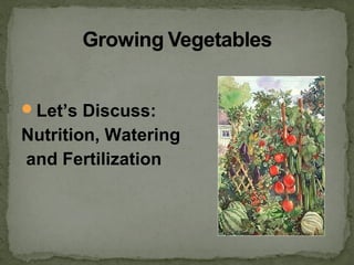 Let’s Discuss:
Nutrition, Watering
and Fertilization
 
