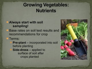 Always start with soil
sampling!
Base rates on soil test results and
recommendations for crop
Terms:
Pre-plant – incorporated into soil
before planting
Side-dress – applied to
surface of soil after
crops planted
 