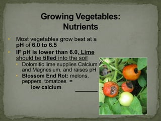 • Most vegetables grow best at a
pH of 6.0 to 6.5
• IF pH is lower than 6.0, Lime
should be tilled into the soil
• Dolomitic lime supplies Calcium
and Magnesium, and raises pH
• Blossom End Rot: melons,
peppers, tomatoes =
low calcium
 