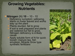 Nitrogen (N) 10 – 10 - 10
Deficiency symptom: yellowing,
starts on lower leaves and works
way up the plant
Plants stunted, fail to grow
If soil is well prepared and plants
are watered but fail to grow,
Nitrogen deficiency is a likely
cause
Apply soluble form of N for quick
boost= manure tea, fish
emulsion, Miracle Grow type
synthetic fertilizers
 