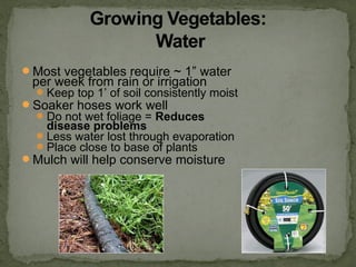 Most vegetables require ~ 1” water
per week from rain or irrigation
Keep top 1’ of soil consistently moist
Soaker hoses work well
Do not wet foliage = Reduces
disease problems
Less water lost through evaporation
Place close to base of plants
Mulch will help conserve moisture
 
