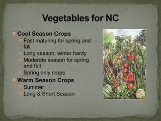 Cool Season Crops
Fast maturing for spring and
fall
Long season, winter hardy
Moderate season for spring
and fall
Spring only crops
Warm Season Crops
Summer
Long & Short Season
 