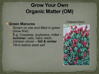 Green Manures
Grown on site and tilled in green
(mow first)
E.g. Cowpeas, soybeans, millet –
summer; oats, hairy vetch,
crimson clover – fall & winter
Till in before seed set!
Crimson Clover
 