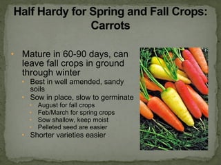 • Mature in 60-90 days, can
leave fall crops in ground
through winter
• Best in well amended, sandy
soils
• Sow in place, slow to germinate
• August for fall crops
• Feb/March for spring crops
• Sow shallow, keep moist
• Pelleted seed are easier
• Shorter varieties easier
 
