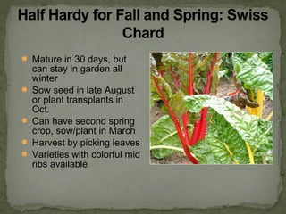  Mature in 30 days, but
can stay in garden all
winter
 Sow seed in late August
or plant transplants in
Oct.
 Can have second spring
crop, sow/plant in March
 Harvest by picking leaves
 Varieties with colorful mid
ribs available
 