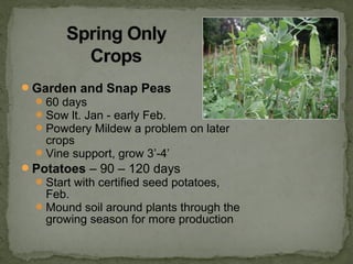 Garden and Snap Peas
60 days
Sow lt. Jan - early Feb.
Powdery Mildew a problem on later
crops
Vine support, grow 3’-4’
Potatoes – 90 – 120 days
Start with certified seed potatoes,
Feb.
Mound soil around plants through the
growing season for more production
 