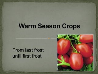 From last frost
until first frost
 